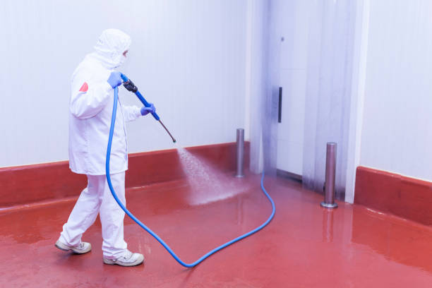 Trusted Dunbar, SC Pressure Washing Services Experts